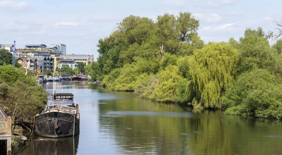 Kew Bridge Rise 