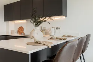 Kew Bridge Rise, Apartment 98, Studio, Kitchen Detail Shot
