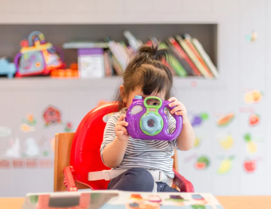 Monkey Puzzle nursery